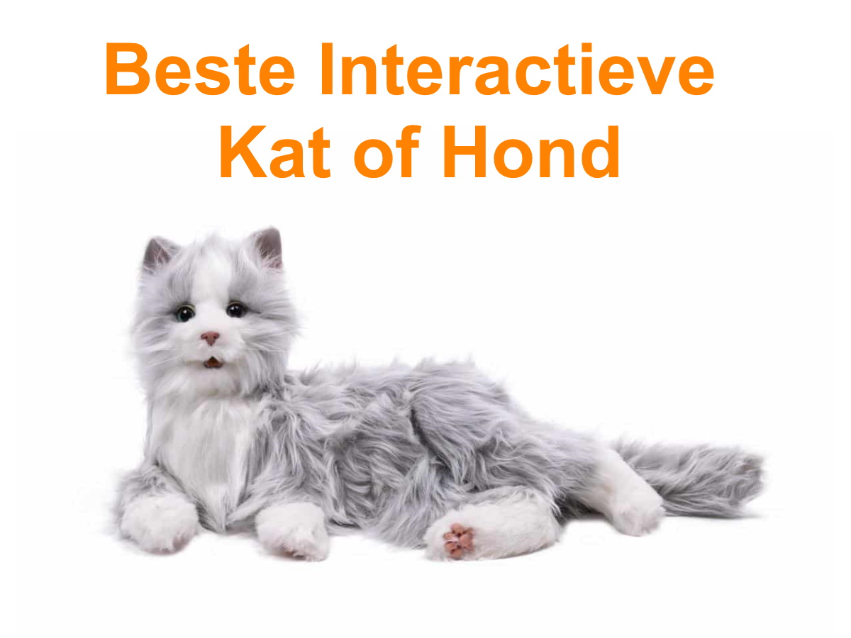 Beste Interactieve Kat (of Hond)