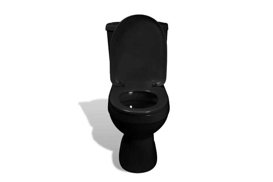 Beste zwarte toilet