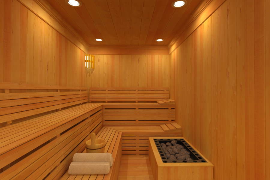 Observeer eenzaam Kader Eigen sauna in huis | Zelf Bouwen, Prijs en Energieverbruik! | 2023