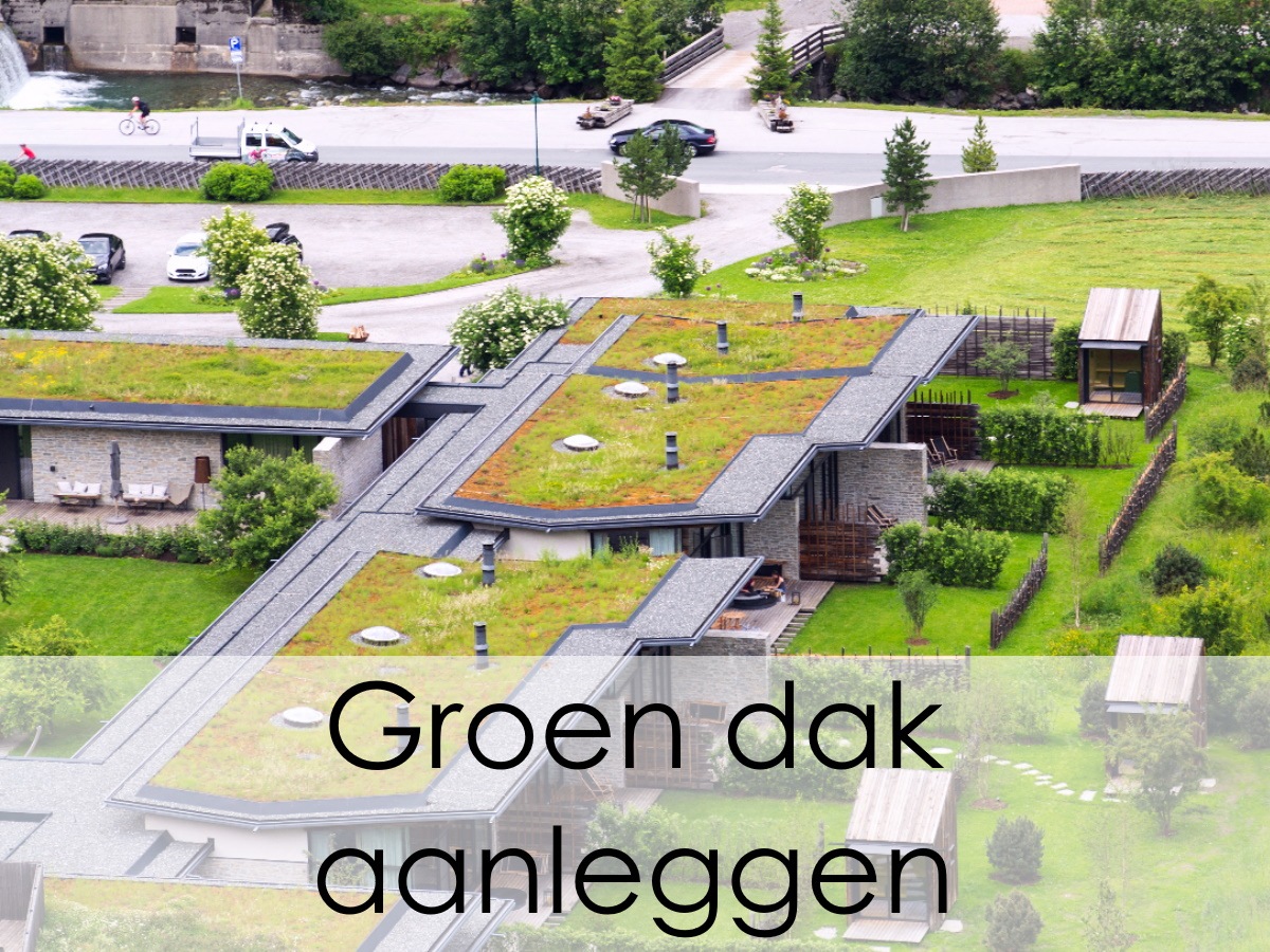 woningen met duurzame groenen daken